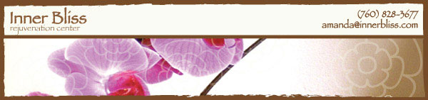IB_Newsletter_Header2 2